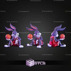 Looney Tunes X Chicago Bulls Trio Bug Bunny No AMS STL Files