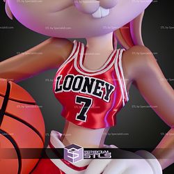 Looney Tunes X Chicago Bulls Trio Lola Bunny No AMS STL Files