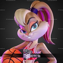 Looney Tunes X Chicago Bulls Trio Lola Bunny No AMS STL Files