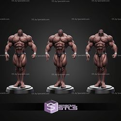 Mr Unchained Baki STL Files