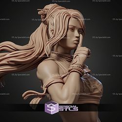 Neo Nixx Bust STL Files