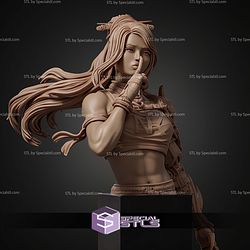 Neo Nixx Bust STL Files
