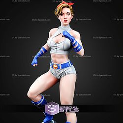 Power Girl Bombshells 1 6 STL Files