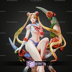 Sailor Moon on Crescent Moon Beach STL Files