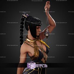 Shadowheart Baldurs Gate 3 1 6 STL Files