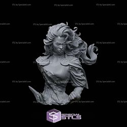 Storm Thunder Base Bust STL Files