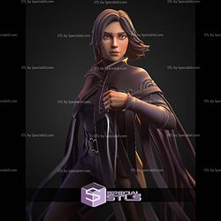 Vin Mistborn 167mm STL Files