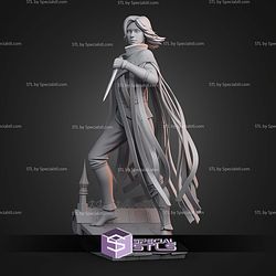 Vin Mistborn 167mm STL Files