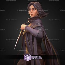Vin Mistborn 167mm STL Files