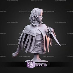 Vin Mistborn Bust 94mm STL Files