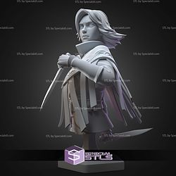 Vin Mistborn Bust 94mm STL Files