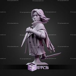 Vin Mistborn Bust 94mm STL Files