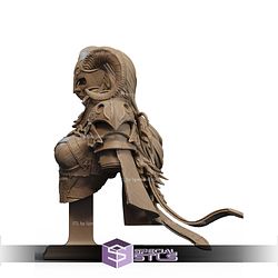 Warrior Of The North Female Bust STL Files