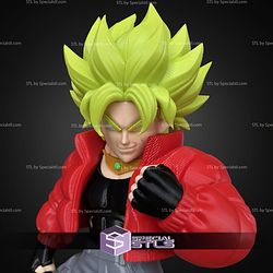 Super Basic STL Broly Urban Vibes No AMS