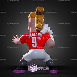 Super Basic STL Erling Haaland Luffy Gear 5 No AMS