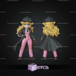 Super Basic STL Princess Peach Peaky Blinder No AMS