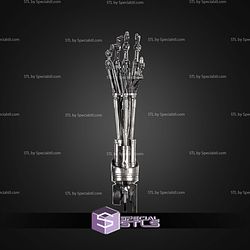 T 800 Arm Display STL Files