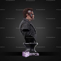 T 800 Arnold Bust STL Files