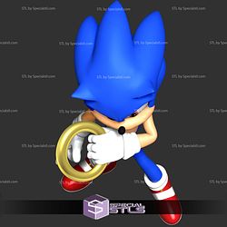 The Sonic With Ring Basic STL Files
