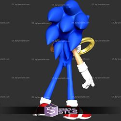 The Sonic With Ring Basic STL Files