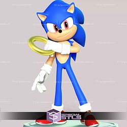The Sonic With Ring Basic STL Files