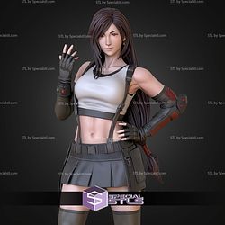 Tifa Lockhart Standalone 200mm STL Files