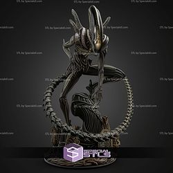 Xenomorph New 262mm STL Files