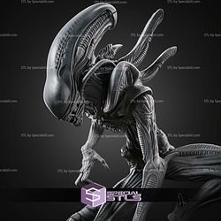 Xenomorph New 262mm STL Files