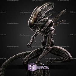 Xenomorph New 262mm STL Files