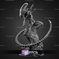 Xenomorph New 262mm STL Files