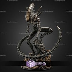 Xenomorph New 262mm STL Files