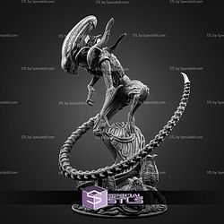 Xenomorph New 262mm STL Files