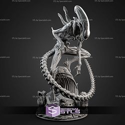 Xenomorph New 262mm STL Files