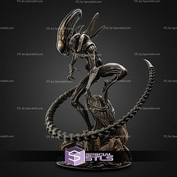 Xenomorph New 262mm STL Files
