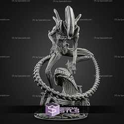 Xenomorph New 262mm STL Files