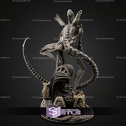 Xenomorph New 262mm STL Files