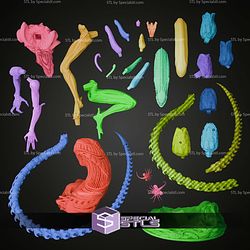 Xenomorph New 262mm STL Files