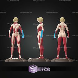 Basic STL Annie Titan Female