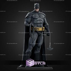 Batman Dark Knight Various Museum STL Files