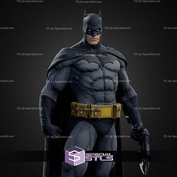Batman Dark Knight Various Museum STL Files