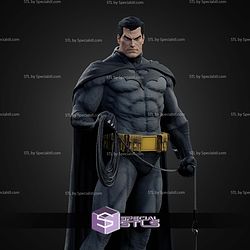 Batman Dark Knight Various Museum STL Files