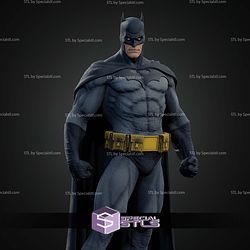 Batman Dark Knight Various Museum STL Files