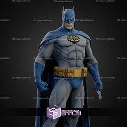 Batman Dark Knight Various Museum STL Files
