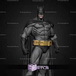 Batman Dark Knight Various Museum STL Files