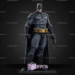 Batman Dark Knight Various Museum STL Files