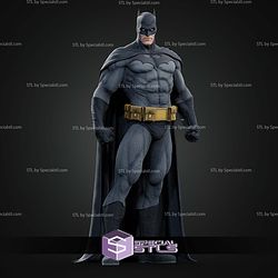 Batman Dark Knight Various Museum STL Files