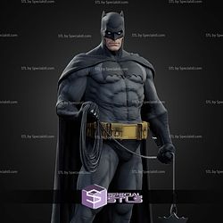 Batman Dark Knight Various Museum STL Files