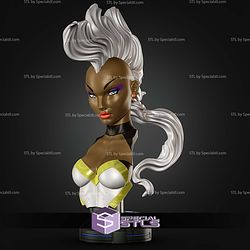 Campbell Storm Bust STL Files