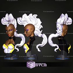 Campbell Storm Bust STL Files