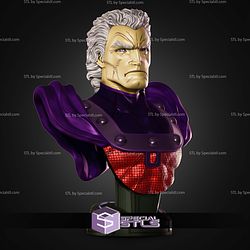 Campbells Magneto Bust STL Files